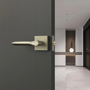 hyh Passage Door Handle Zinc Alloy Lever for Interior Door